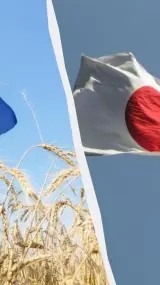 Україна отримала від Японії грант майже на 1,3 мільярда доларів.