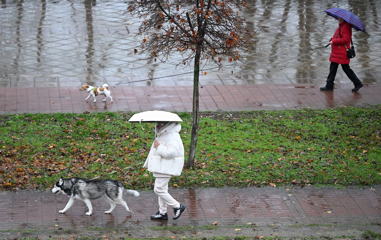 Погода в Україні 11 квітня: заморозки, дощі та мокрий сніг